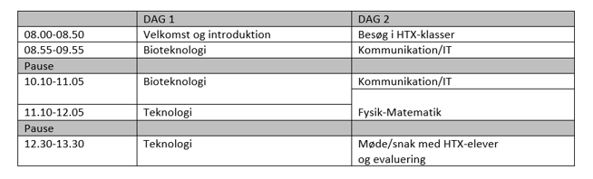 Skema-eksempel på brobygning